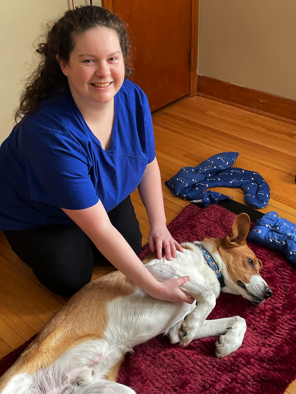 Pet Massage Therapy | Simcoe Veterinary Hospital - Barrie, Ontario