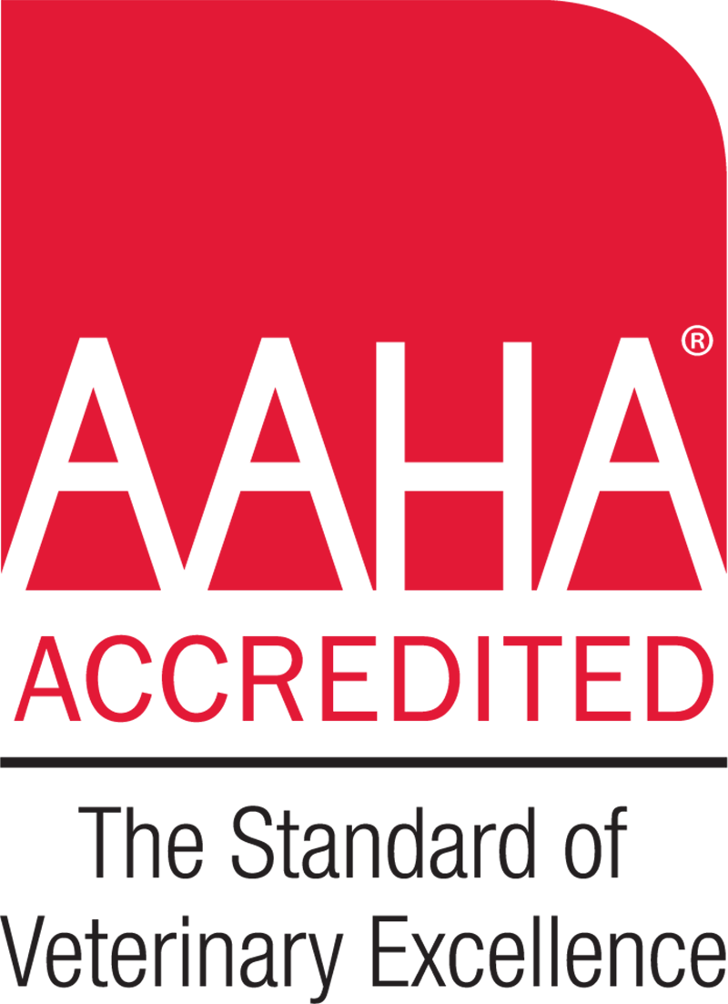 Certifications AAHA Accredited Logo