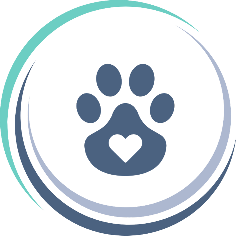 Pet surgery and dental care icon