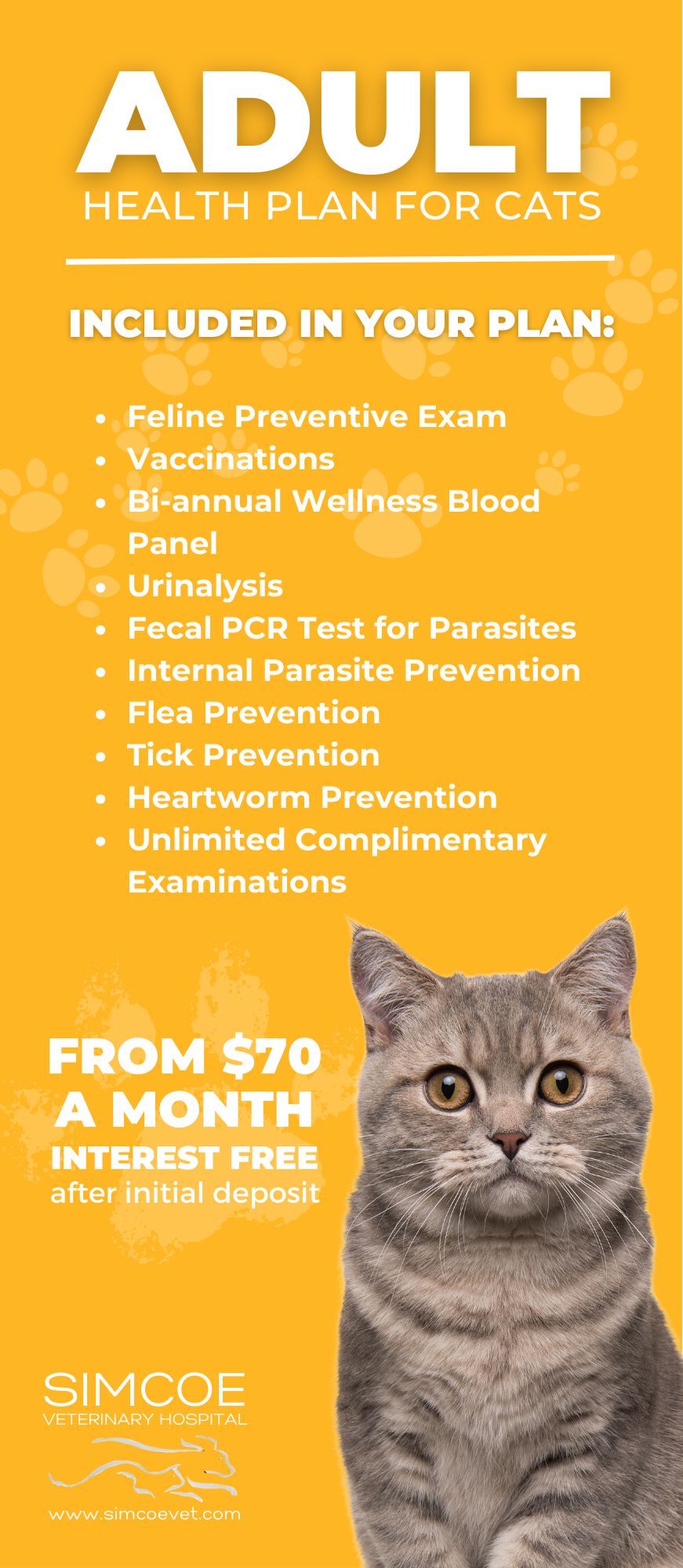 health plan for cats details