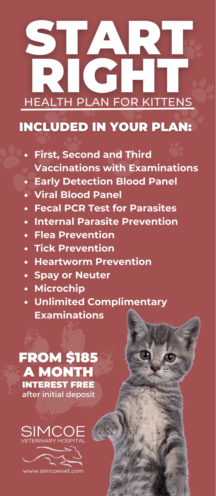 health plan for Kittens details