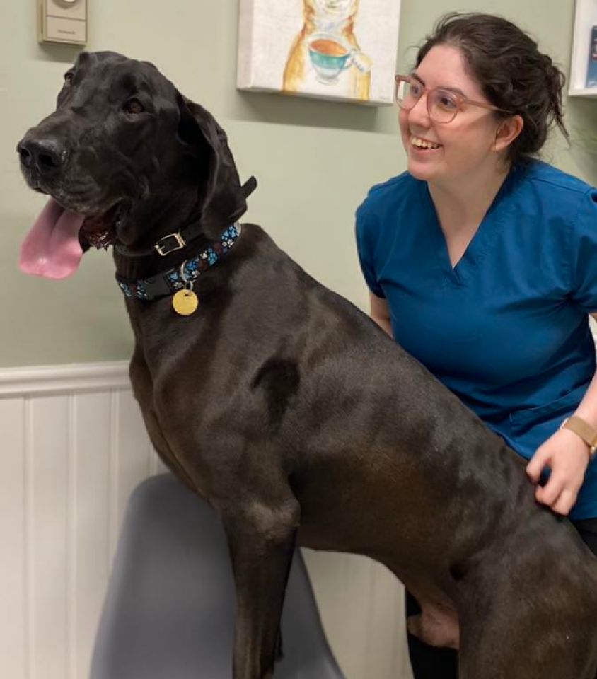 Emily with large dog