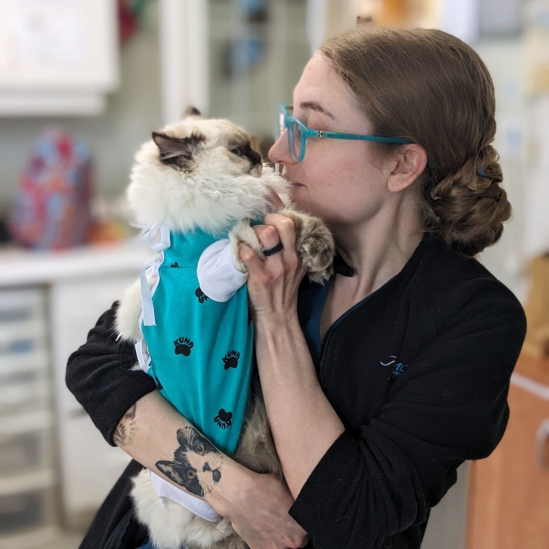 woman embracing cat closely in veterinary office