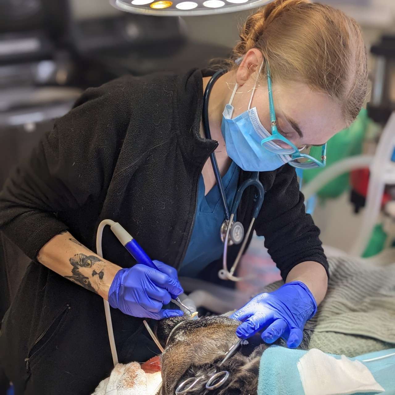 our-services Our Veterinary Services